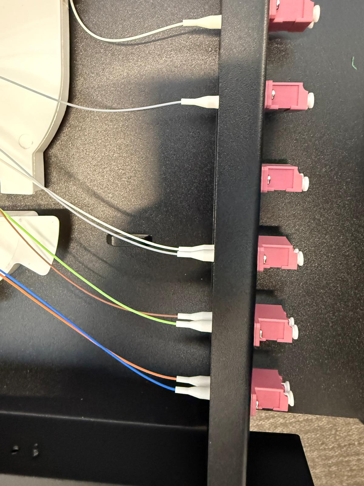 Pink fibre optic patch panel close-up